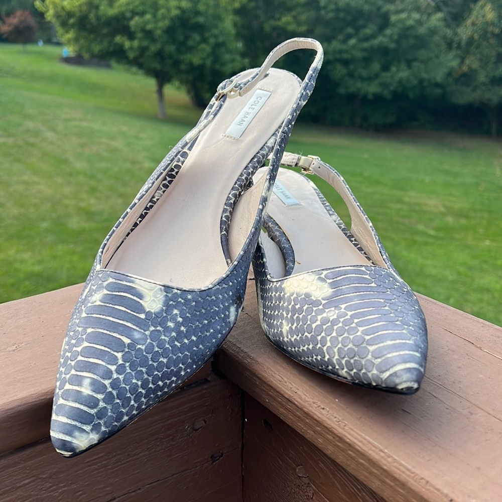 Cole Haan Women’s Bradshaw Sling Pointy Toe Heels